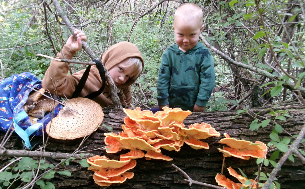 Foraging Spade Foraging – South Dakota – Logan Spader